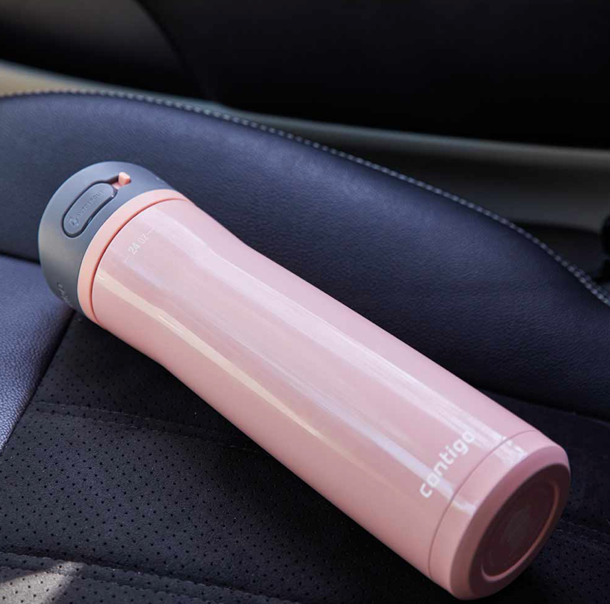 ASHLAND CHILL 2.0 Metal Bottle Pink Lemonade 720 ml