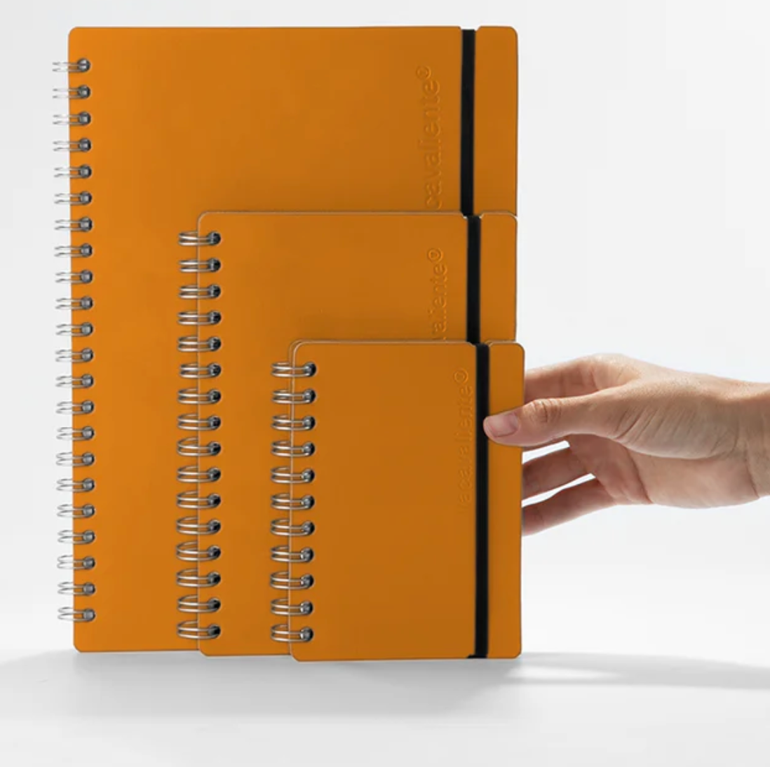 Carnet Studio A6 Vaca