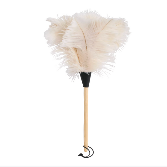 Plumeau d'autruche blanche