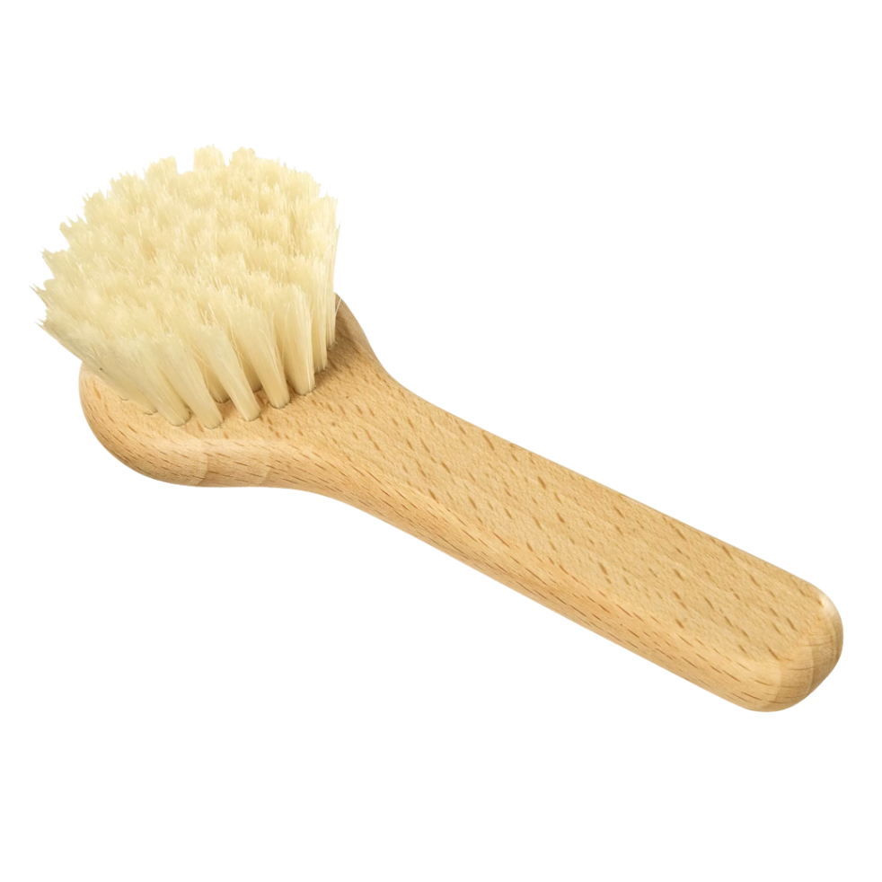 Brosse à champignon