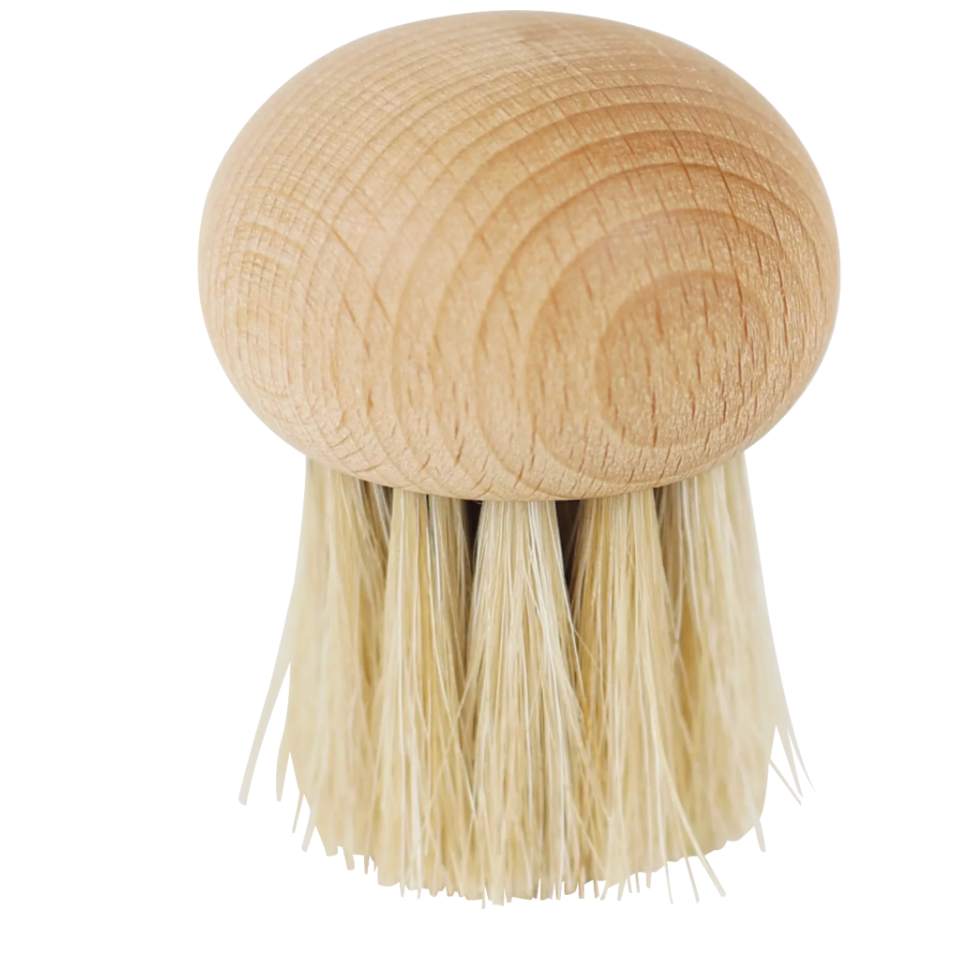 Brosse à champignon