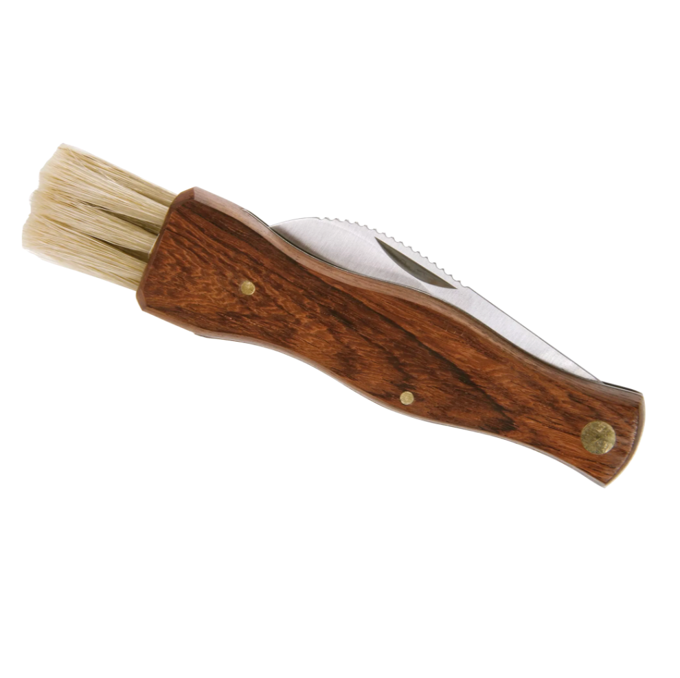 Couteau à champignon repliable
