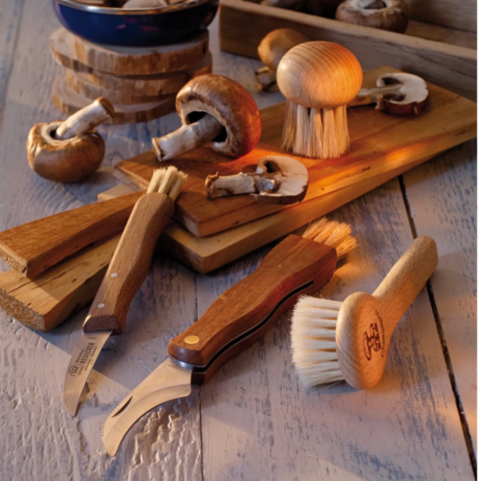 Couteau à champignon repliable
