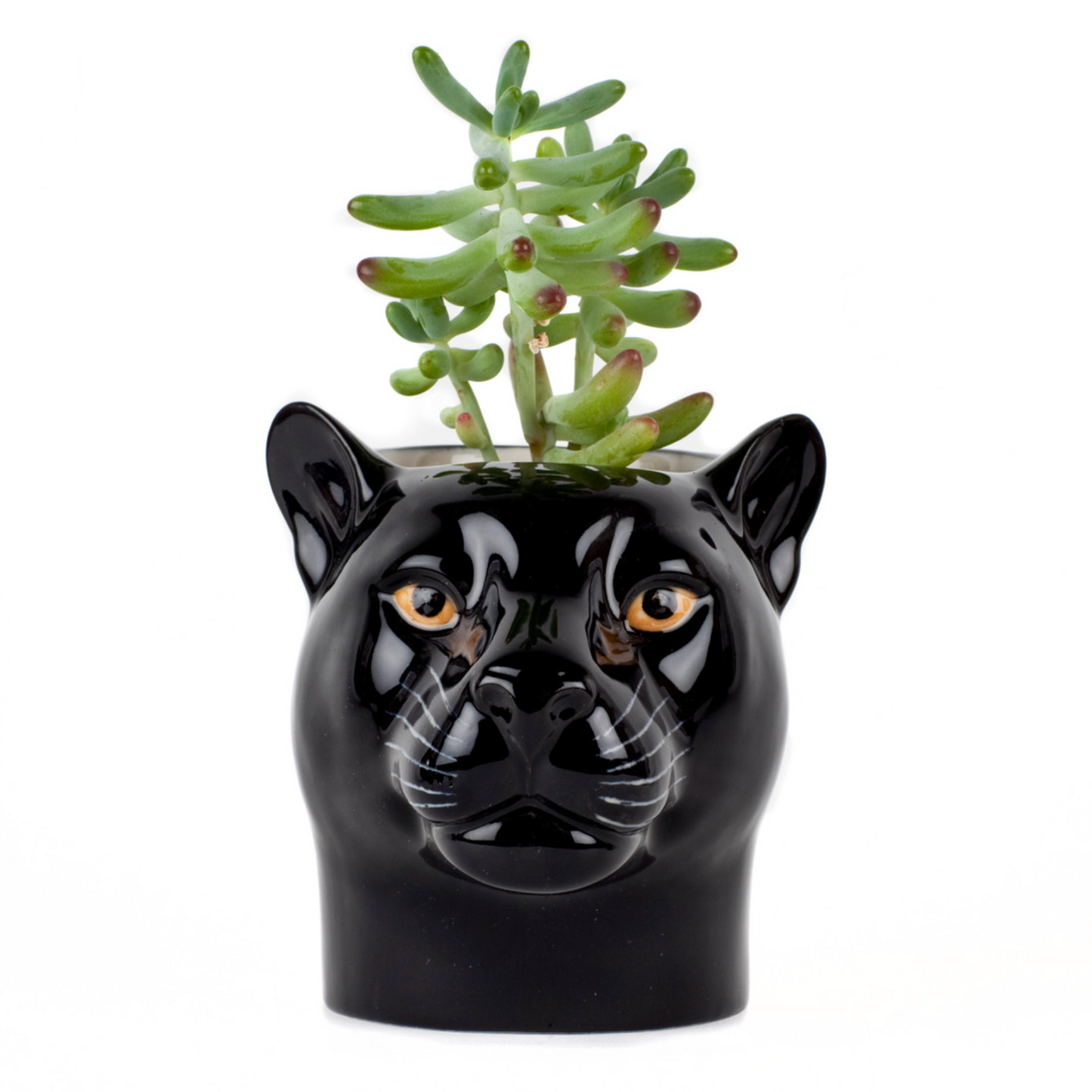 Panther Pencil Pot