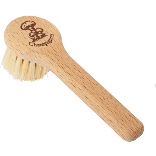 Brosse à champignon