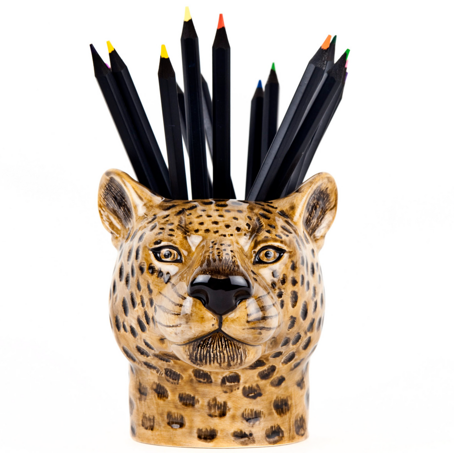 Leopard Pencil Pot