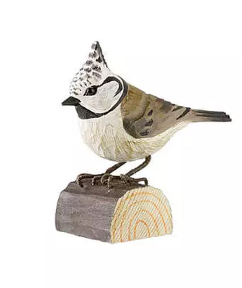 Wildlife Oiseaux bois