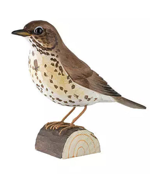 Wildlife Oiseaux bois