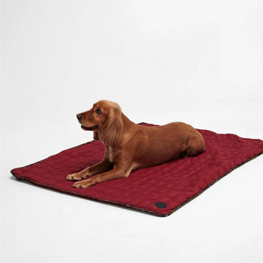 Barbour - Dog Bone Quilted Blanket