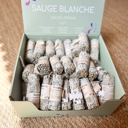 Sauge blanche à brûler