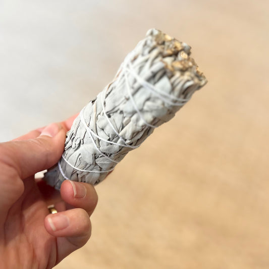 Sauge blanche à brûler