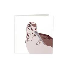 Carte oiseau avec enveloppe