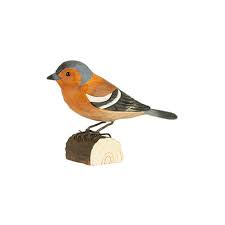 Wildlife Oiseaux bois