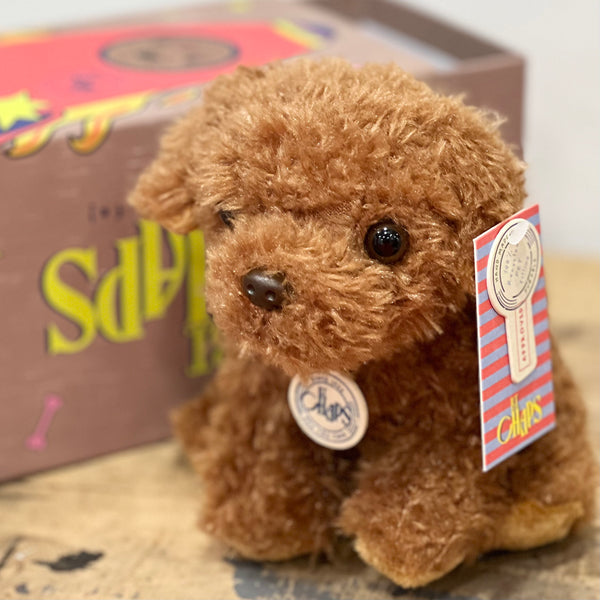 BTC - Stacy le Labradoodle en boîte