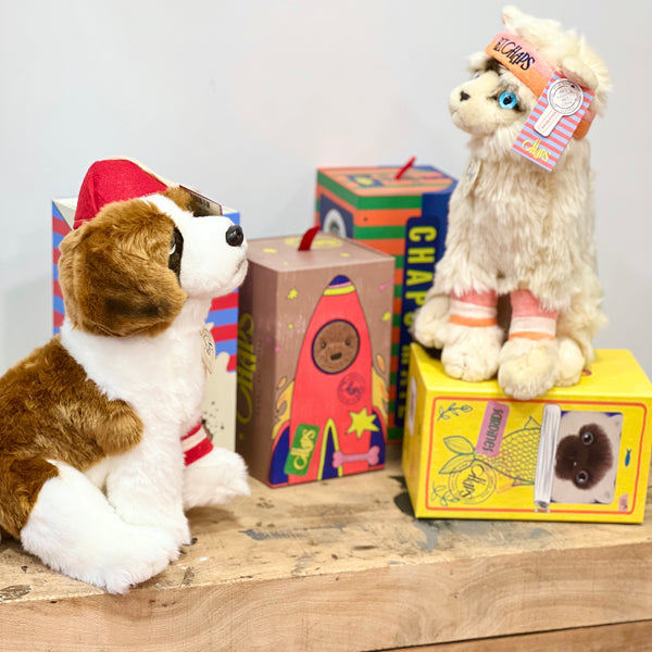BTC - Herman le St Bernard