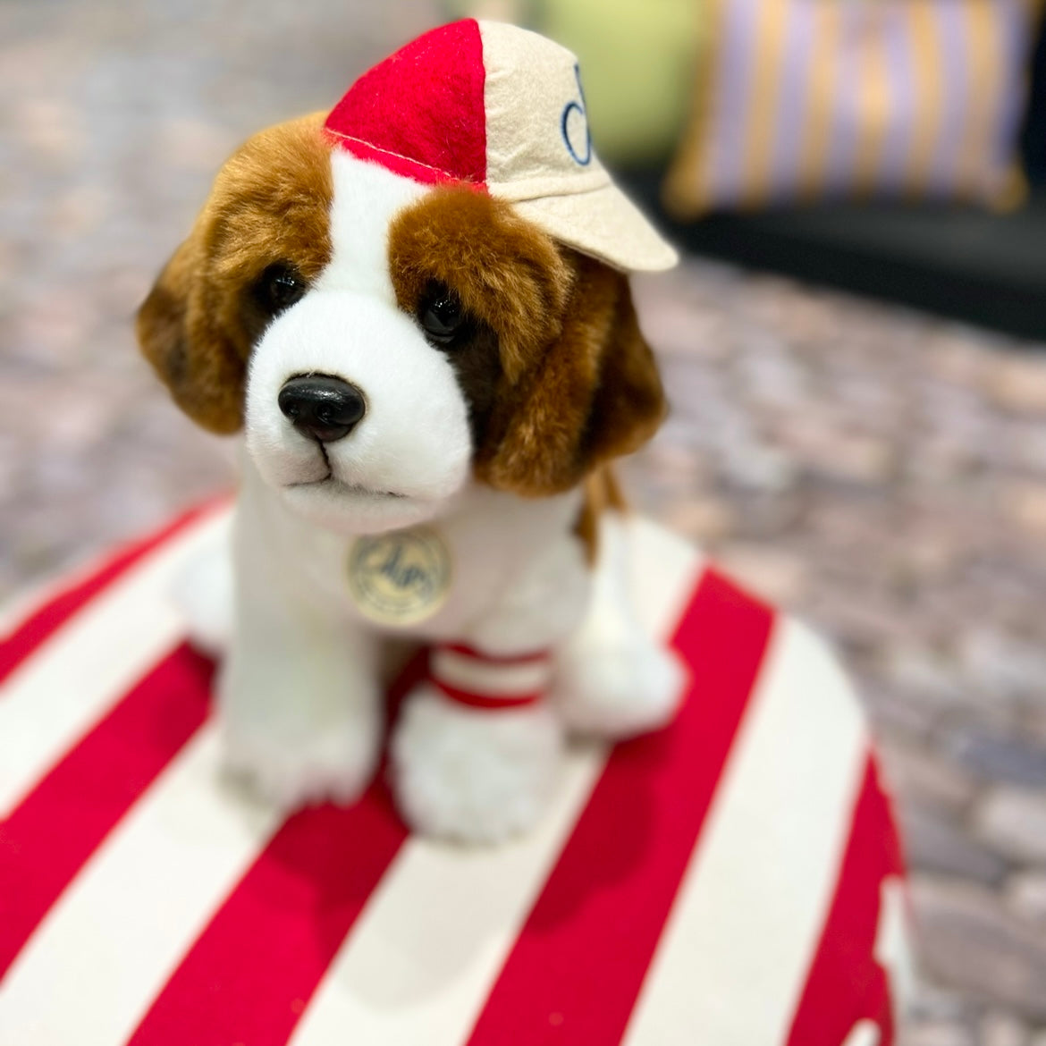 BTC - Herman le St Bernard
